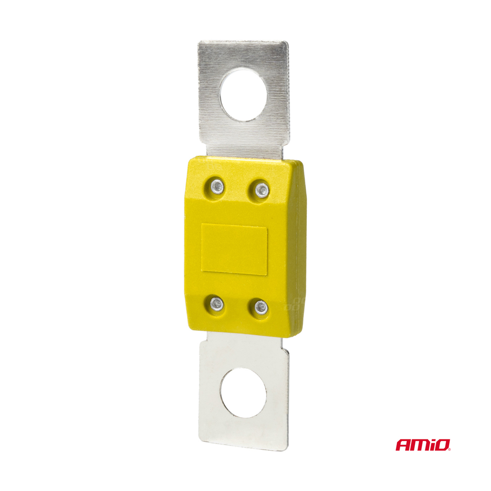 Amio - ΑΣΦΑΛΕΙΕΣ MEGAVAL 100A - 2 Τεμ. (03463/AM)