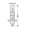 H1 BLU-XE 12V/100W 62.5mm 4.150Κ