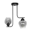 GLOBOSTAR® GLOSSA 201-0091 Vintage Φωτιστικό Οροφής με Ντουί 2 x E27 AC 220-240V IP20 - Μαύρο & Μαύρο Φιμέ - Μ40 x Π15 x Υ17cm