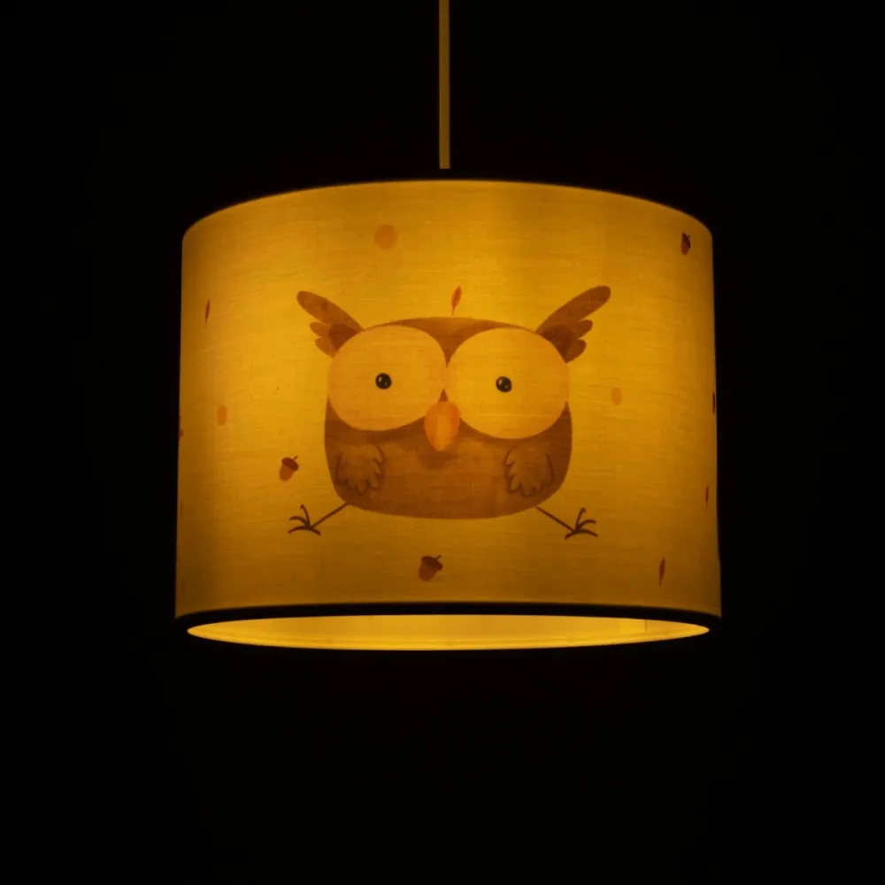 GLOBOSTAR® OWL 204-0017 Παιδικό Κρεμαστό Φωτιστικό Οροφής με Ντουί 1 x E27 AC 220-240V IP20 - Πολύχρωμο - Μ28 x Π28 x Υ24cm