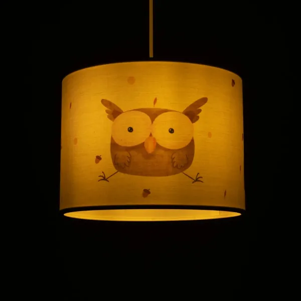 GLOBOSTAR® OWL 204-0017 Παιδικό Κρεμαστό Φωτιστικό Οροφής με Ντουί 1 x E27 AC 220-240V IP20 - Πολύχρωμο - Μ28 x Π28 x Υ24cm