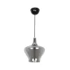GLOBOSTAR® OVOCE 206-0032 Μοντέρνο Κρεμαστό Φωτιστικό Οροφής με Ντουί 1 x E27 AC 220-240V IP20 - Μαύρο Φιμέ - Μ20 x Π20 x Υ22cm