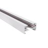 GLOBOSTAR® EUROTRACK-1PH 60985-3M Μονοφασική Ράγα 2 Καλωδίων 1L+1N για Σύστημα Ράγας Eurotrack-1PH AC 220-240V IP20 - Λευκό Ματ - Μ300 x Π3.6 x Υ2cm