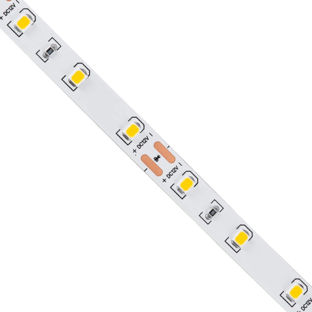 GLOBOSTAR® LILAC 70142 Ταινία LED 6W/m 540lm/m 120° DC 12V IP20 60 x SMD2835 Chip/m Θερμό Λευκό 2700K Dimmable - Sanan SMD Chip - Μ500 x Π0.8 x Υ0.1cm - Ρολό 5 Μέτρων - 5 Χρόνια Εγγύηση