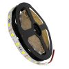 GLOBOSTAR® LUMAR 70020 Ταινία LED 14.4W/m 1440lm/m 120° DC 12V IP20 60 x SMD5050 Chip/m Ψυχρό Λευκό 6000K Dimmable - Sanan SMD Chip - Μ500 x Π1 x Υ0.2cm - Ρολό 5 Μέτρων - 5 Χρόνια Εγγύηση