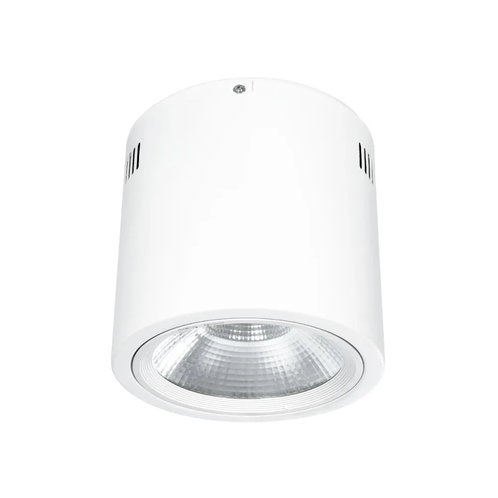 GloboStar® 999-0004 Φωτιστικό Σποτ Οροφής Downlight 30W 3000lm 24° AC 220-240V IP20 Θερμό Λευκό 3000K