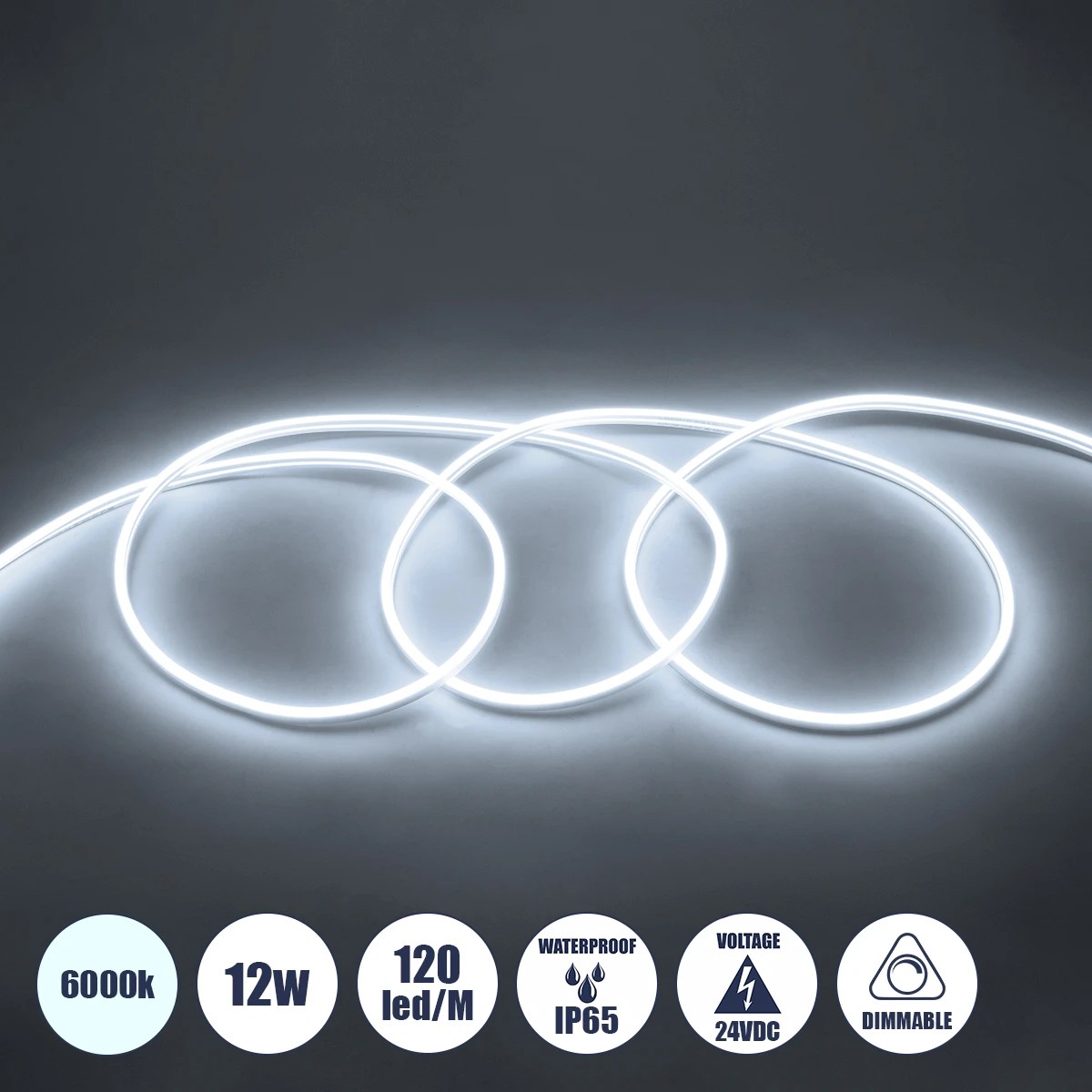 GLOBOSTAR® NEOVALE 70560 Ταινία Neon Flex LED 12W/m 1080lm/m 120° DC 24V Αδιάβροχο IP65 120 x SMD2835 Chip/m Ψυχρό Λευκό 6000K Dimmable - Sanan SMD Chip - Μ100 x Π0.8 x Υ1.6cm - 3 Χρόνια Εγγύηση