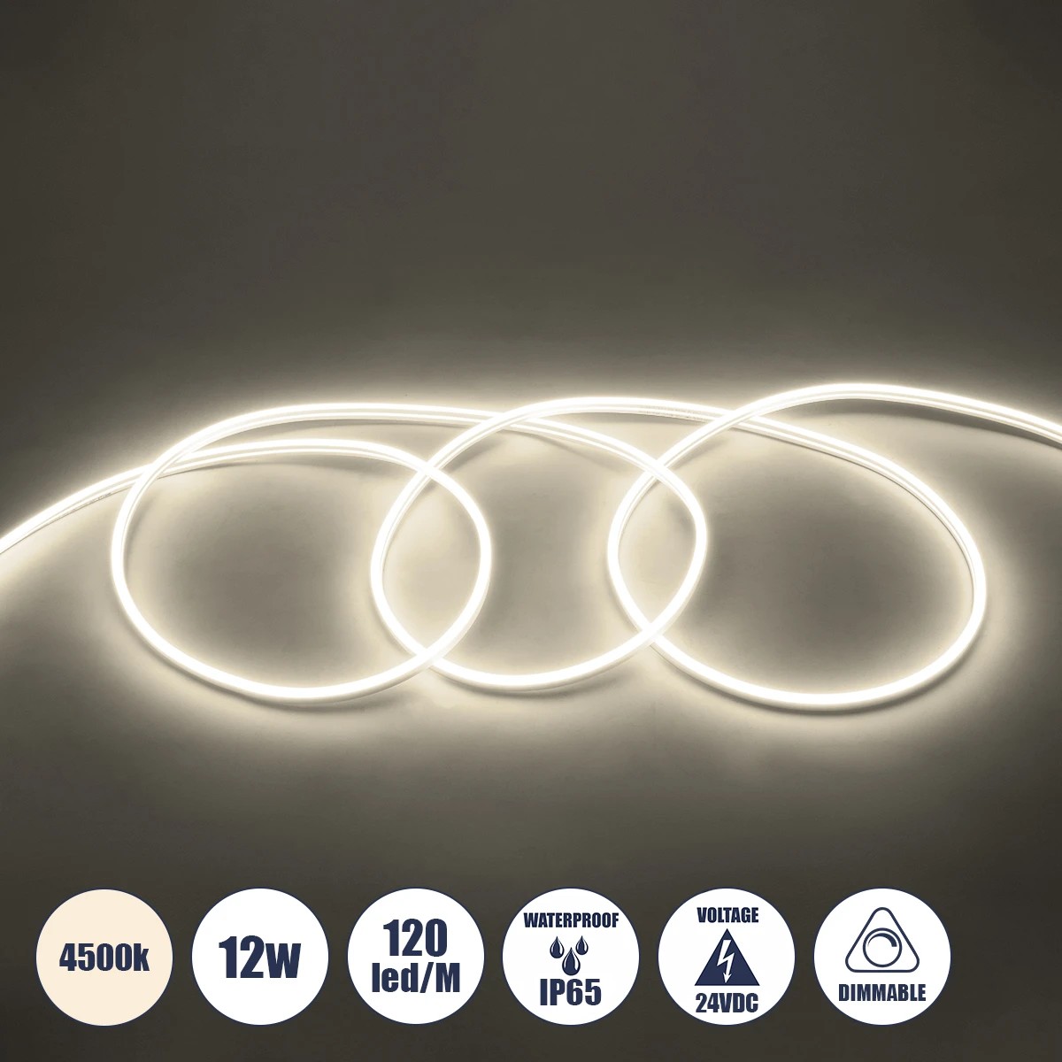 GLOBOSTAR® NEOVALE 70561 Ταινία Neon Flex LED 12W/m 960lm/m 120° DC 24V Αδιάβροχο IP65 120 x SMD2835 Chip/m Φυσικό Λευκό 4500K Dimmable - Sanan SMD Chip - Μ100 x Π0.8 x Υ1.6cm - 3 Χρόνια Εγγύηση