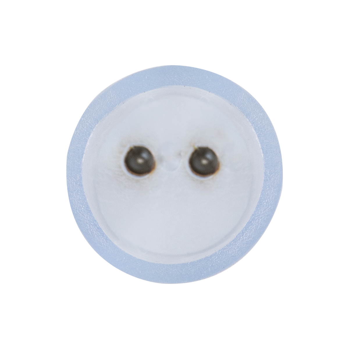 GLOBOSTAR® LIGHTUBE-AB 70658 I Σύνδεσμος για Φωτοσωλήνα LED Αδιάβροχο IP65 - Διάφανο - Μ6.5 x Π1.5 x Υ1.5cm
