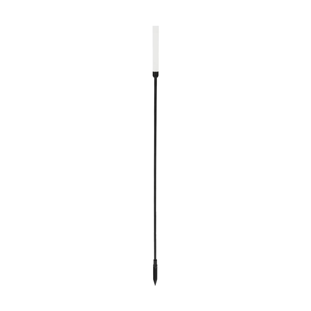 GLOBOSTAR® REED GLB-103-0006 Φωτιστικό Κολωνάκι Κήπου με Καρφωτή Βάση LED 2W 180lm 360° DC 24V Αδιάβροχο IP65 Θερμό Λευκό 2700K - Sanan SMD Chip - Μαύρο Ματ - Μ2 x Π2 x Υ100cm - 3 Χρόνια Εγγύηση